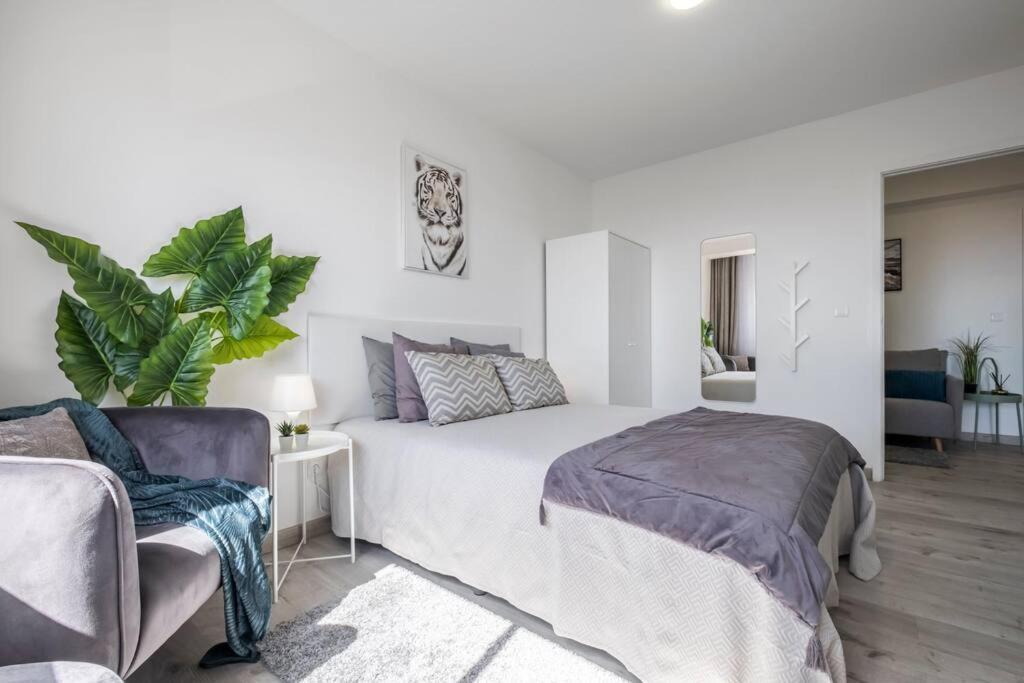 Apartmán Super Platinum Funchal  Exteriér fotografie